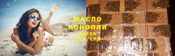 тгк Сатка