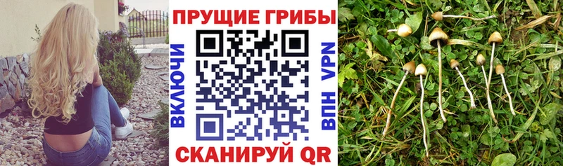 ОМГ ОМГ ССЫЛКА  Лагань  Псилоцибиновые грибы MAGIC MUSHROOMS 